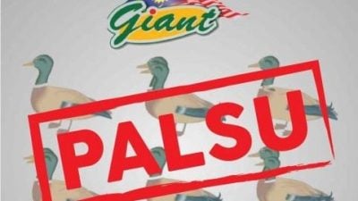 揭发冒名诈骗   Giant没办数鸭子有奖赛