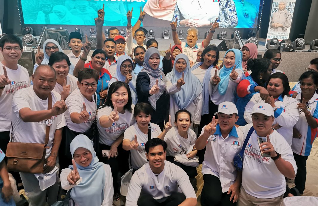 法丽娜:党选不容抹黑领导层、贬低会议决议及威胁党