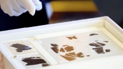 流失美国79载  国宝楚帛书《五行令》《攻守占》回到中国