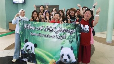 熊猫兴兴靓靓今最后展出    粉丝涌动物园守候到闭馆