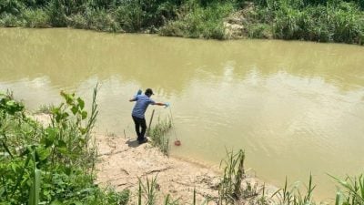牛棚采“封闭循环系统”没排出污水 LUAS证实冷岳河流没受污染