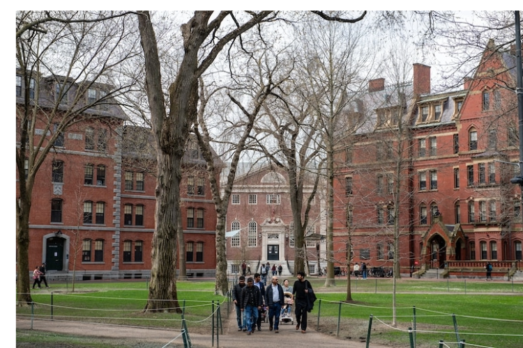 特朗普政府限哈佛30天 解释为何应继续招收国际生