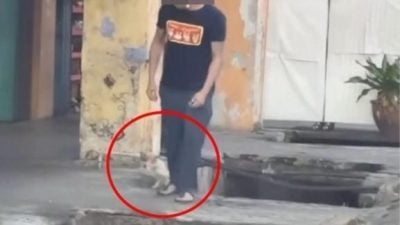狠踢猫咪入沟渠惹众怒 网促当局严惩男子恶行