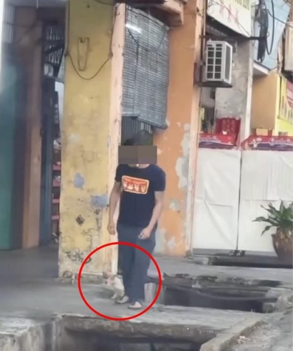狠踢貓咪入溝渠惹眾怒 網促當局嚴懲男子惡行