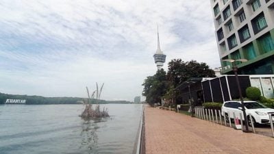 疑涨潮带到下游 彭关丹河出现“棕榈岛”