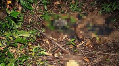男子清理杂草惊见腐尸 警方怀疑是失踪男子