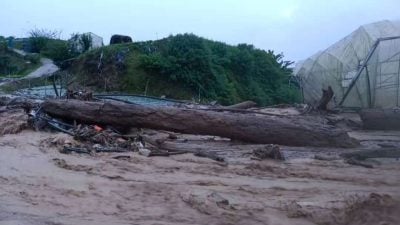 直冷甲新村闪电水灾 河水满溢灾黎114人