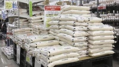 日米价飙涨  平价大米诈骗网站急增