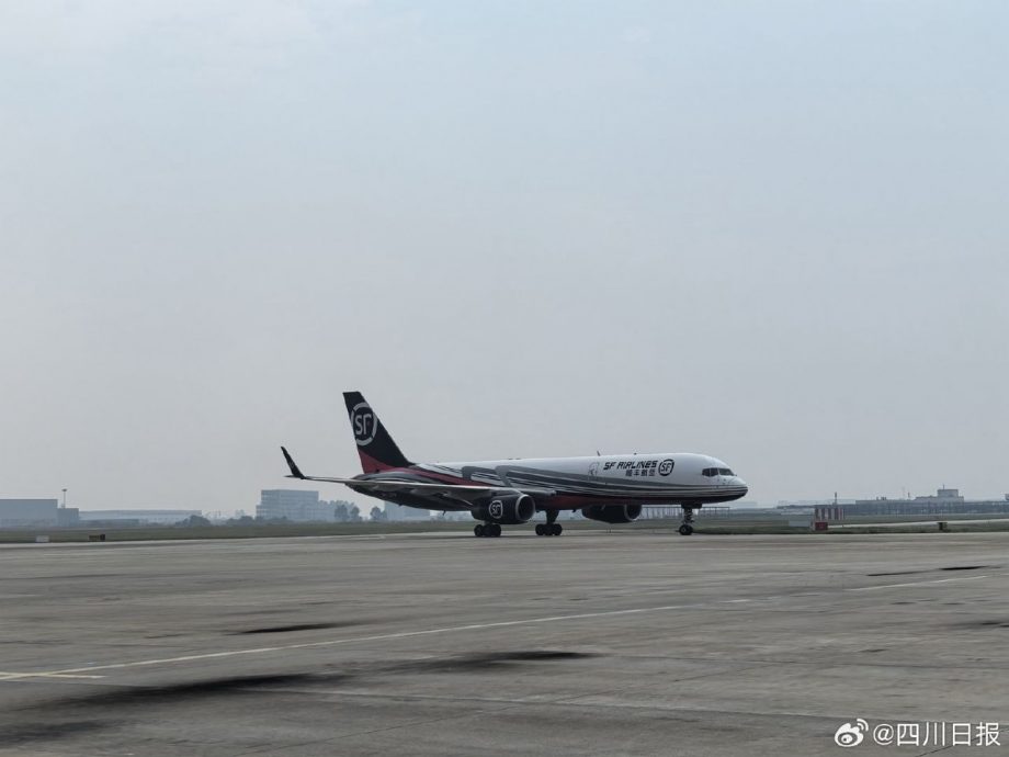 福娃凤仪平安返华 中国网民:感谢大马奶爸粉丝们