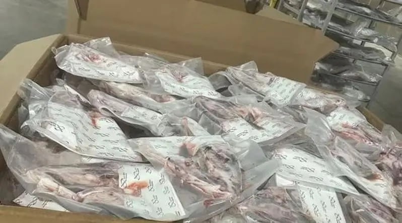 美国鸡爪鱼头出口量接近零 除中国根本没买家