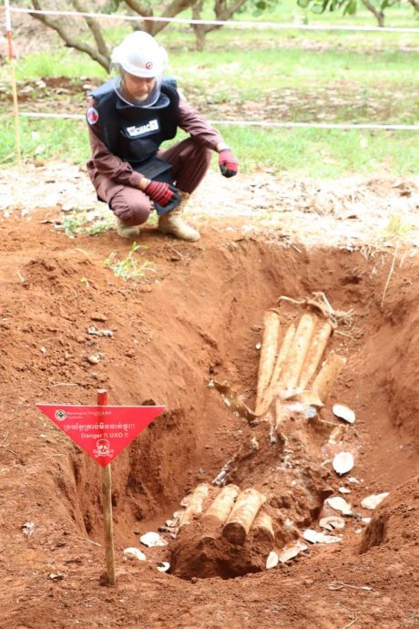 腰果园发现美军遗留炸弹 上百枚仍未爆炸