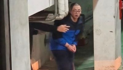 虐杀5猫判监9年2个月 男子认罪结巴求情