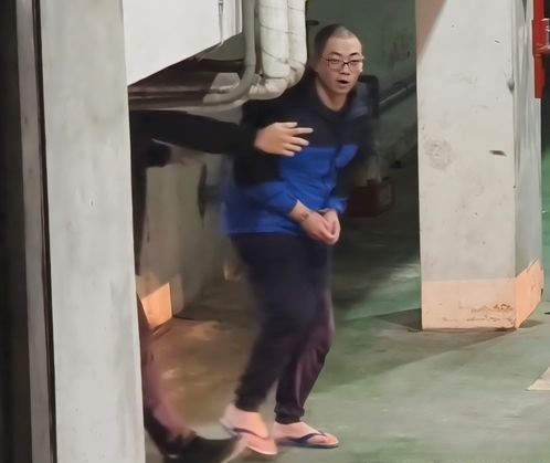 虐杀5猫判监9年2个月 男子认罪结巴求情