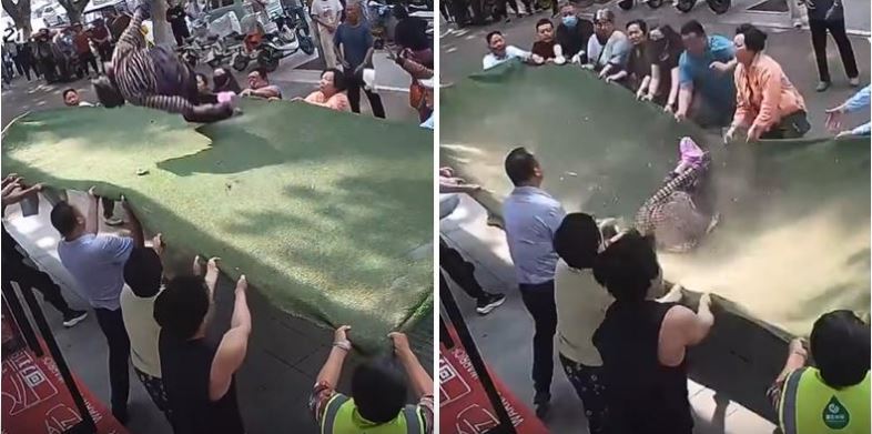 视频 | 中国102岁人瑞三楼意外坠楼 十余街坊合力救援