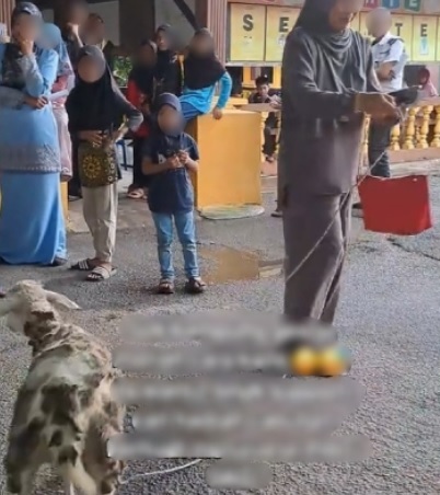 视频| 幸运抽奖竟抽到羊！女子傻笑：要怎么带回家？