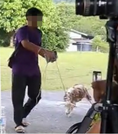 视频| 幸运抽奖竟抽到羊！女子傻笑：要怎么带回家？