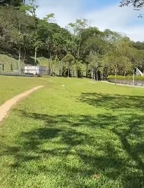 视频|“一点垃圾都没有！” 日本游客大赞隆街道干净