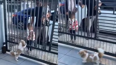 视频| “签收”包裹日久生情 巫裔送货员带妻儿探望“网红汪”