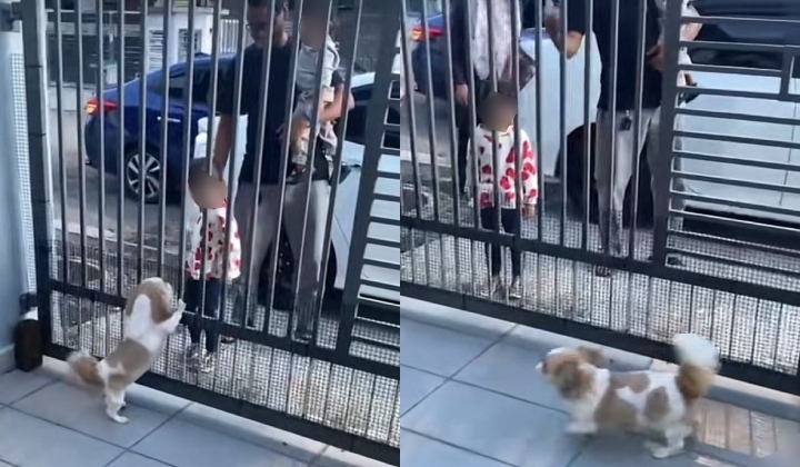 视频|“签收”包裹日久生情 巫裔送货员带妻儿探望“网红汪”