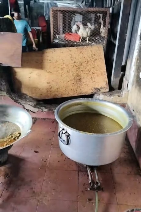 视频|女子怒揭餐厅厨房脏又乱 “孟籍移工掌厨、厕所旁煮饭!”