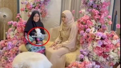 视频｜女子订婚无人机送戒指 网民羡慕喊“等着瞧！”