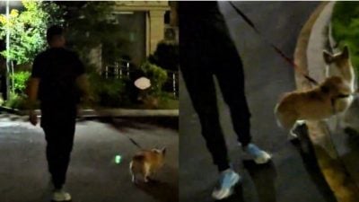 视频| 孕妇被狗咬狗主拒道歉 “狗咬的 你让它道歉吧！”
