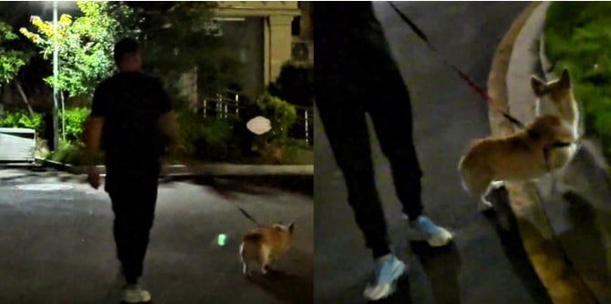 视频|孕妇被狗咬狗主拒道歉 “狗咬的,你让它道歉吧!”