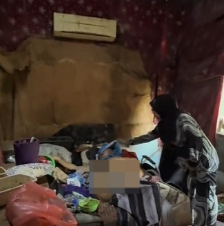 视频|孤独大叔卧病在床 1鸡1猫陪伴左右