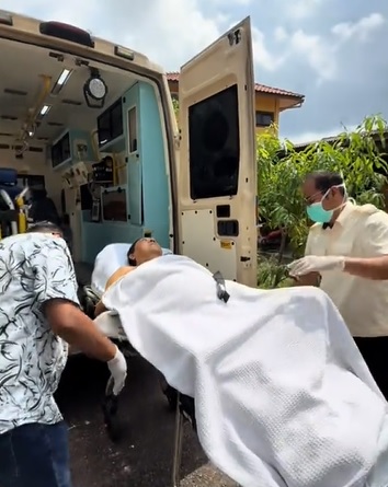 视频|孤独大叔卧病在床 1鸡1猫陪伴左右