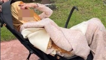 视频 | 拍外景太累还是懒惰走路？ 新娘坐婴儿车有苦衷