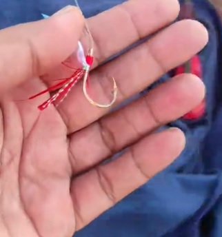 视频|流浪猫被鱼钩刺伤痛苦呻吟 网轰垂钓者不负责任！