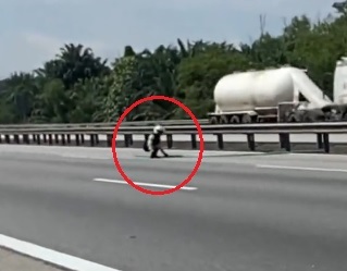 视频|骑士冒险闯大道移除障碍物 网民:勇气可嘉但太危险!