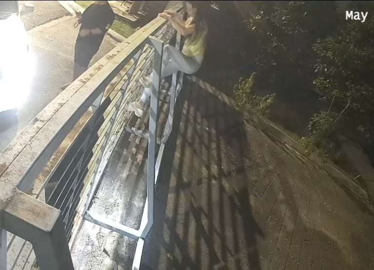 视频｜男女夜闯收容所弃养动物 SPCA怒斥：这不是爱，是伤害！