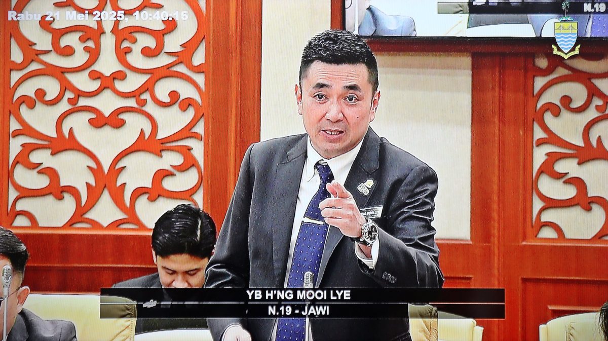 请签发∕州议会（大北马）方美铼∕芒果树属私人财产，市政厅没有砍伐责任