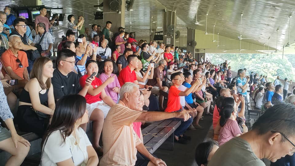 请签发（大北马封面头）马会最后一跑 新手入场试“新手运”