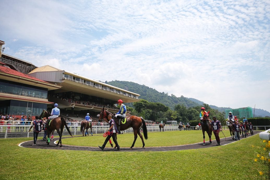 请签发（大北马封面头）马会最后一跑 新手入场试“新手运”