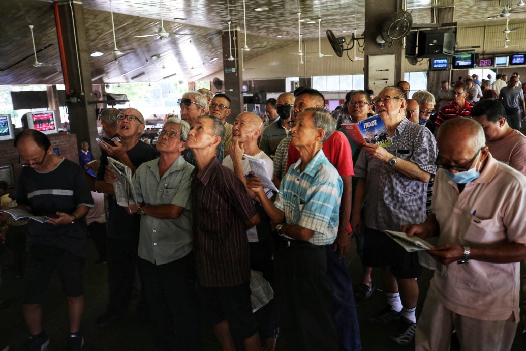 请签发（大北马封面头）马会最后一跑 新手入场试“新手运”