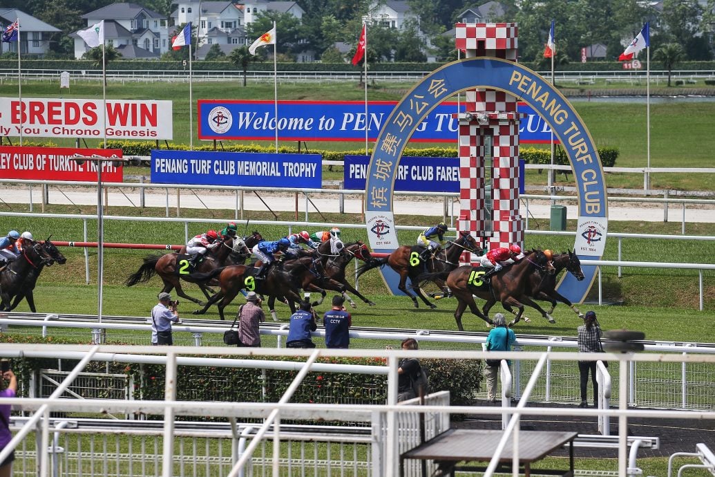 请签发（大北马封面头）马会最后一跑 新手入场试“新手运”