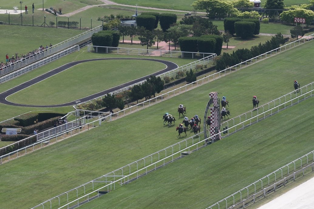 请签发（大北马封面头）马会最后一跑 新手入场试“新手运”