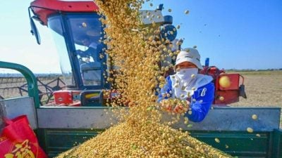 贸易谈判前夕 中国与多国签订采购合约替代美国产品