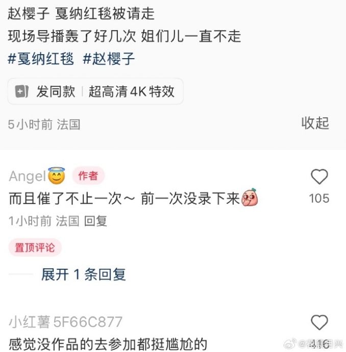 赵樱子传遭驱离康城影展 她反击：那手势是里面请