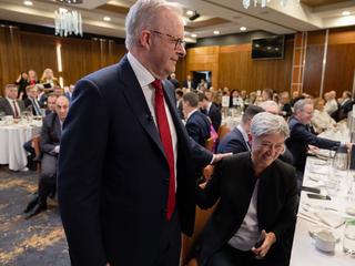 达顿投票 Australia Election:Australia Election