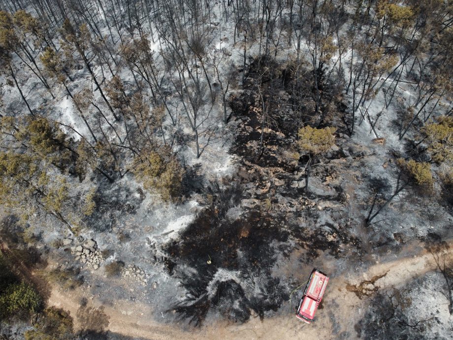 野火肆虐未歇 强烈沙尘暴袭击以色列南部！国庆日活动喊卡