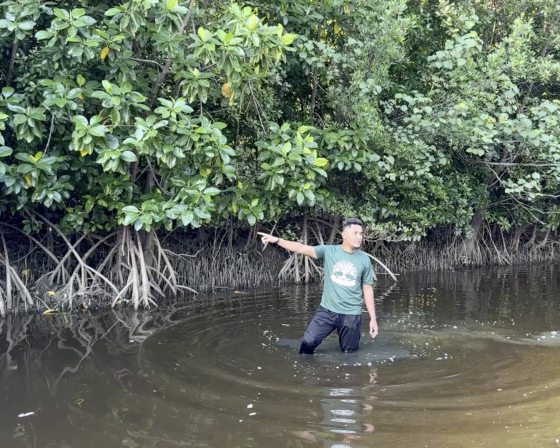 锺嘉怡／公司旅行也可以很有意义，与小海龟的生命同行！