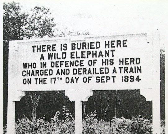 锺嘉怡/我们能做的不只是哀悼