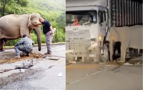 锺嘉怡/我们能做的不只是哀悼