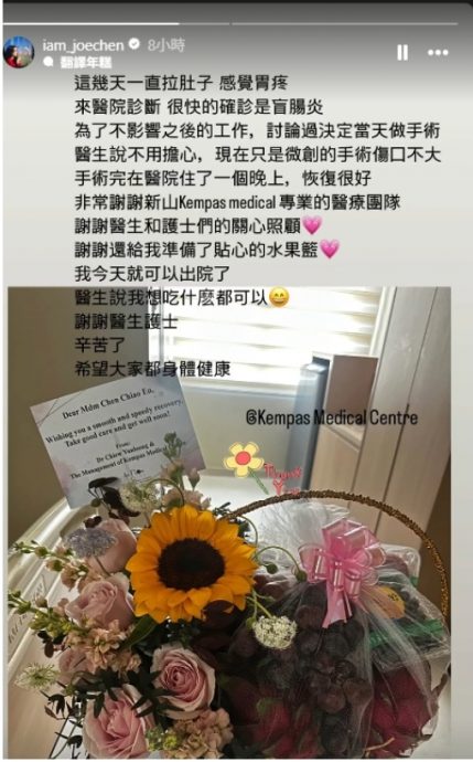 陈乔恩盲肠炎紧急入院 新山动手术 “肚子开3洞”	