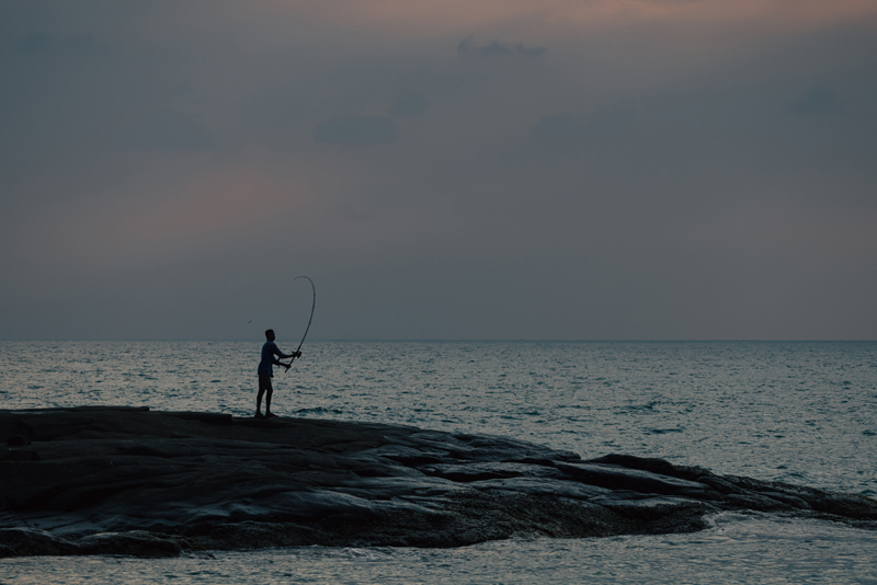 陈子韩／我是一只小小鸟