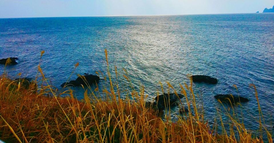 韩剧取景地济州海岸变“藻岸”腥臭还有中国垃圾