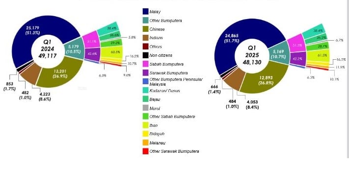 首季死亡人数下降2% 平均每两分钟一人离世
